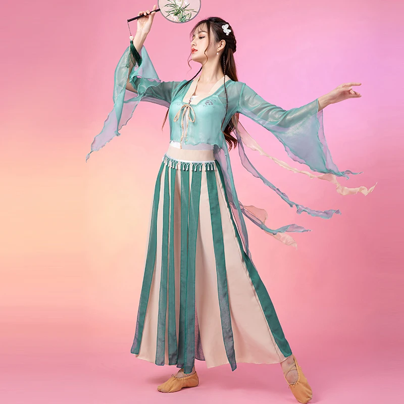 

New Classical Dance Clothes Female Elegant Gauze Practice Clothing Chinese Style Folk Dance Stage Performance Costumes DQL6983