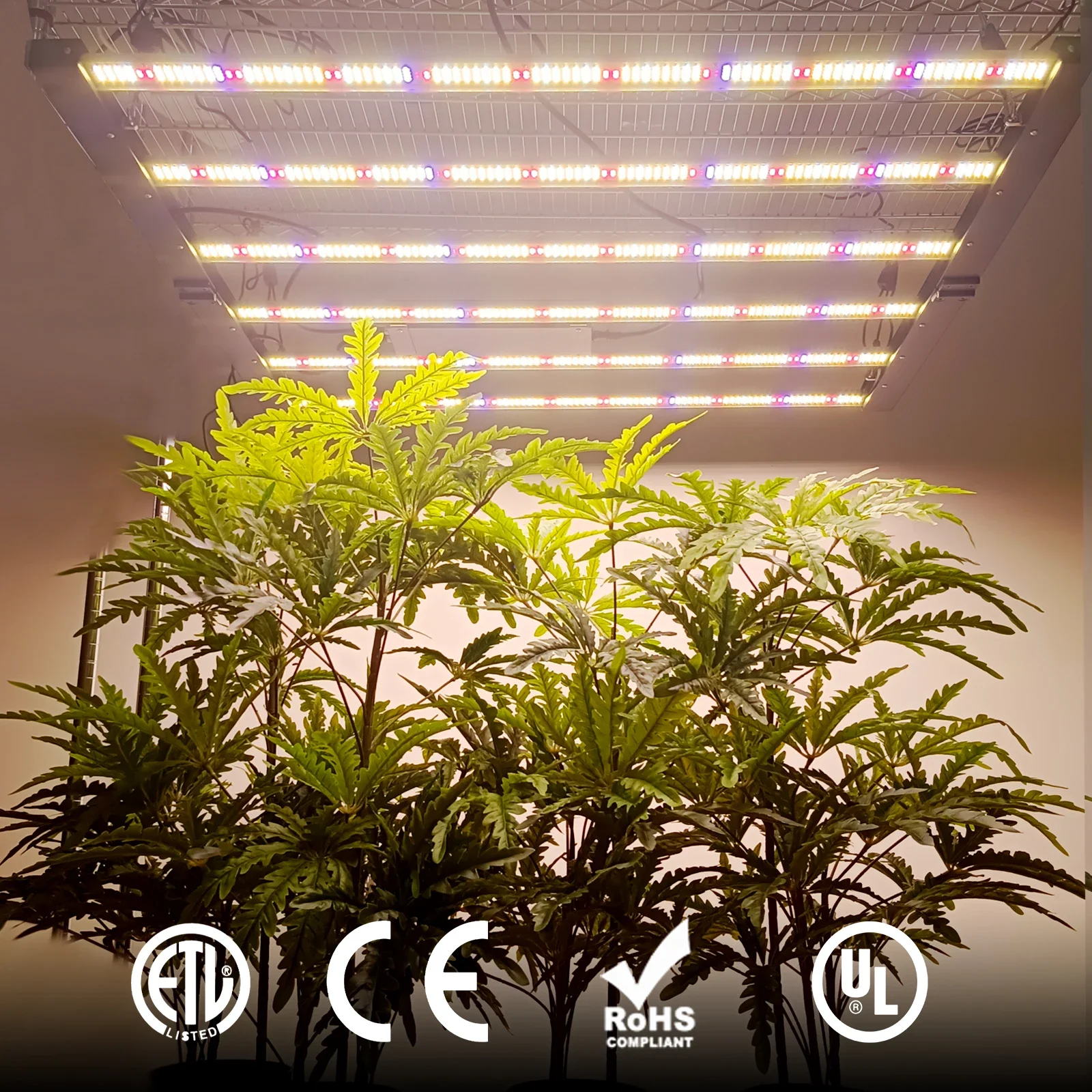 Maksdep-商用の植物用フルスペクトル赤色グローライト,調光可能,Samsung,花,LED, 640W