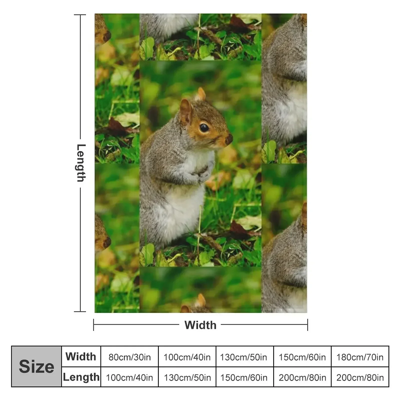 New Grey Squirrel Throw Blanket couch cozy soft plush fuzzy picnic outdoor blanket