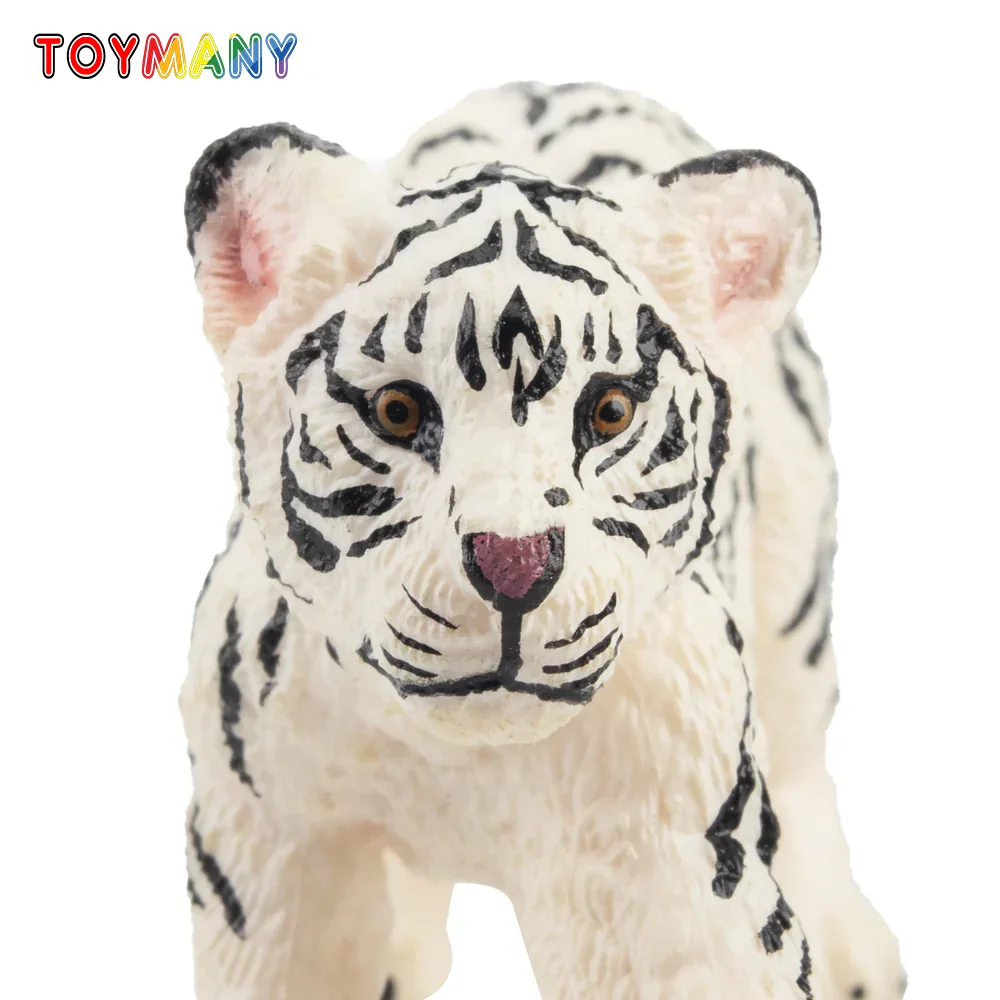 

Toymany Simulation Stretching White Tiger Cub Wildlife Animal Model Toy Mini Figures Dolls Action Figurines Toys Children Gift