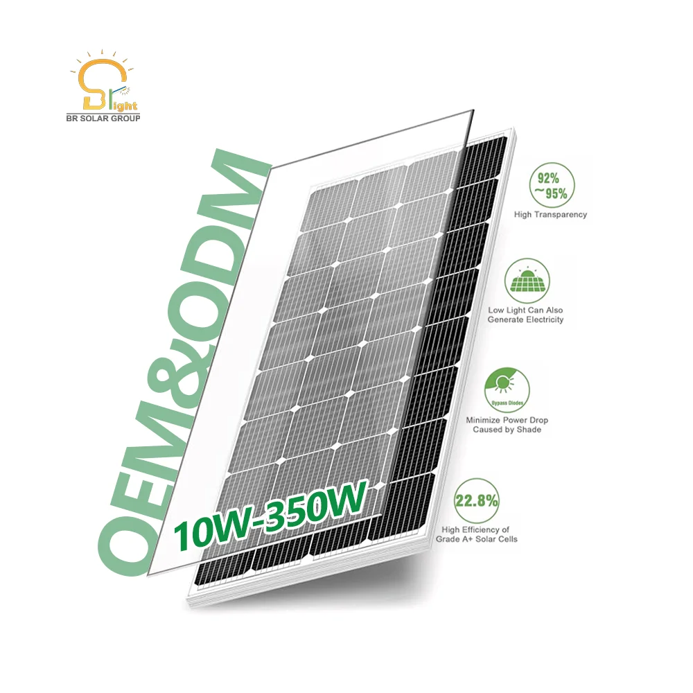 SOLAR Professional Dummy 100W Organic PERC Solar Panels Popular OEM Type