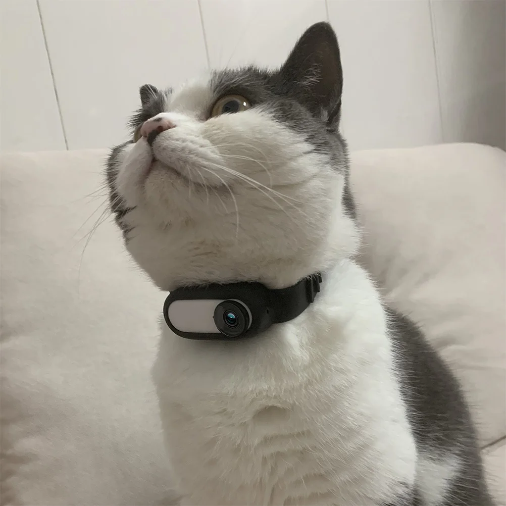 

1Pcs Camera Wrist Strap Silicone Hand Grip Strap Comfortable Safety Band for Sports Cameras Camera Wristbands