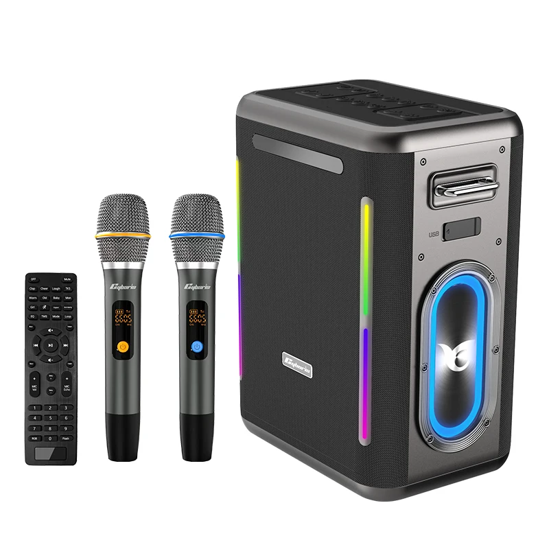 Karaoke Machine with Two Wireless Microphones, Portable Wireless Speaker PA System with Remote Control, RGB, TWS, USB Power Bank