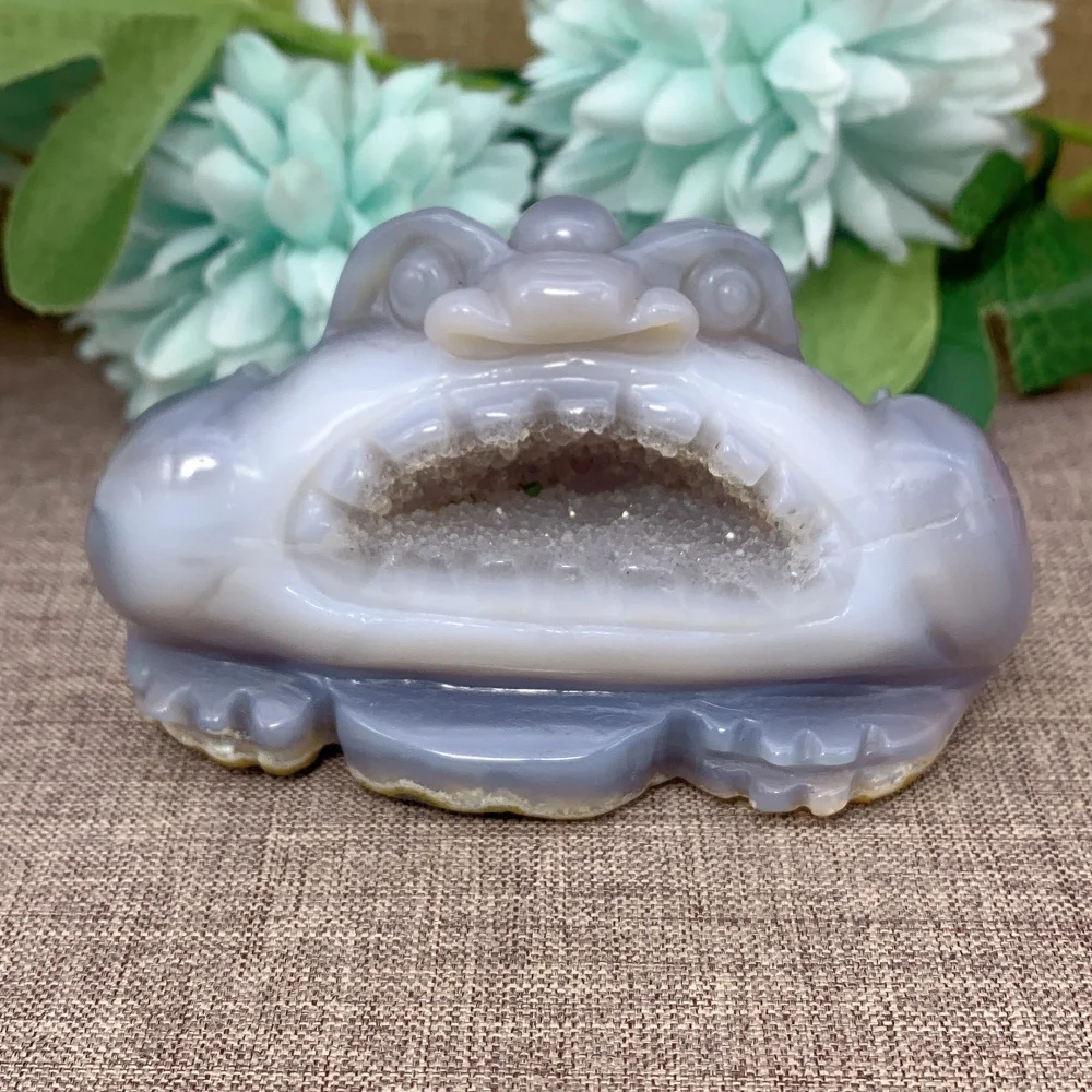 

Quartz Stone Natural Golden Cicada Agate Geode FreeForm Home Decoration Energy Gift