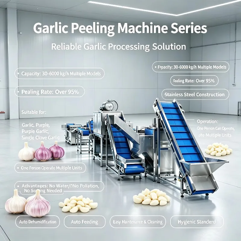Multi Functional Garlic Processing Line Dry Peeling Clove Splitter Integrated for Industrial Food Plant Custom