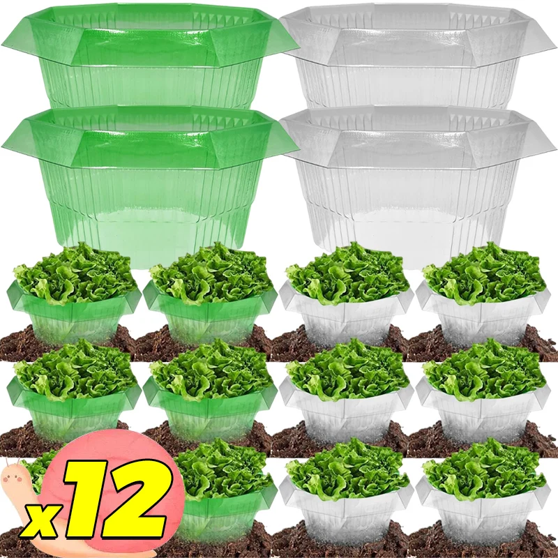 

1/12PCS Slug Collars Snail Plant Protection Covers Reusable Plant Pest Barrier For Garden Vegetable Flower Pest Control Rings