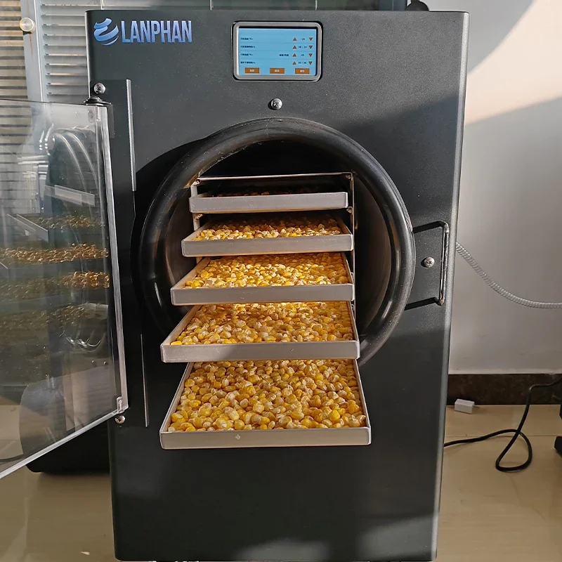 Small Mini Space Saving 470*630*810mm Easy to Operate Vacuum Lyophilizer Freeze Dryer Machine for Food Fruit Drying at Home