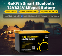 LiFePO4 Battery Pack 12V GokWh 100AH EU Stock with BT New Lithium Iron Phosphate Cell for RV,Trolling,Marine,Yacht,Camping,boat