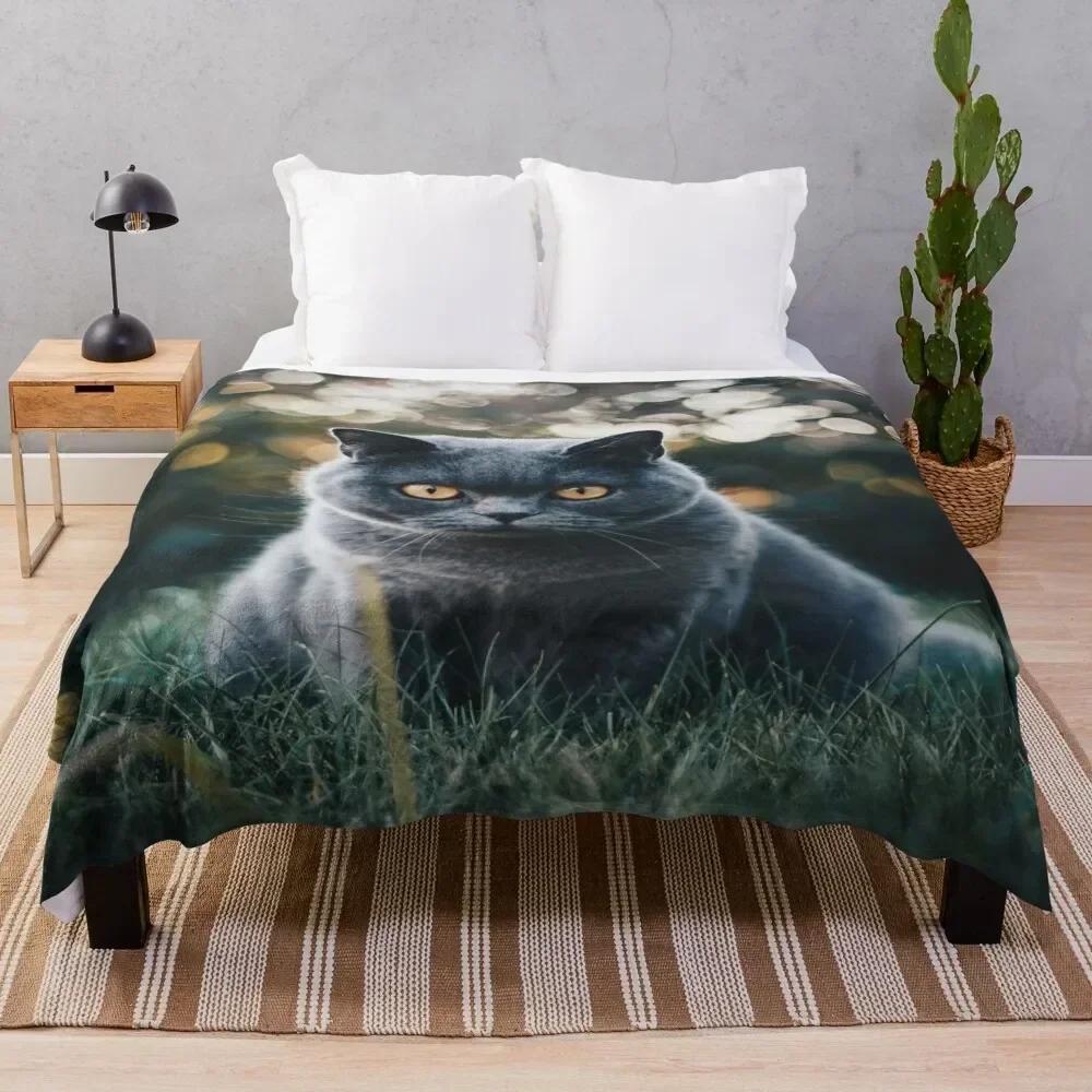 

Outdoor Russian Blue Cat Throw Blanket Anti Shedding Soft Fuzzy Blanket for Home