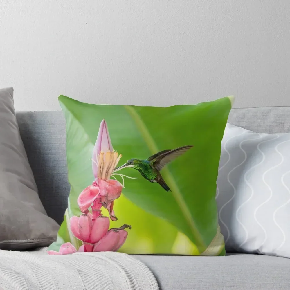 

Sipping Sweet 2 Throw Pillow Cushion Covers For Living Room Cusions Cover Pillow Decor christmas cushions covers pillow