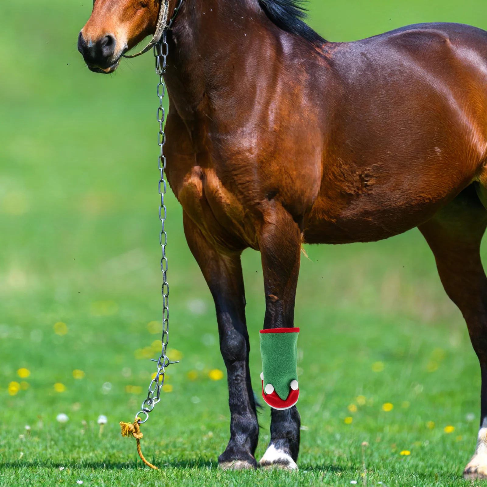 مجموعة واحدة من أدوات تزيين الحصان وقبعة عيد الميلاد لفافات الساق لحفلات العطلات وقابلة للتنفس ومريحة ونمط احتفالي فريد من نوعه