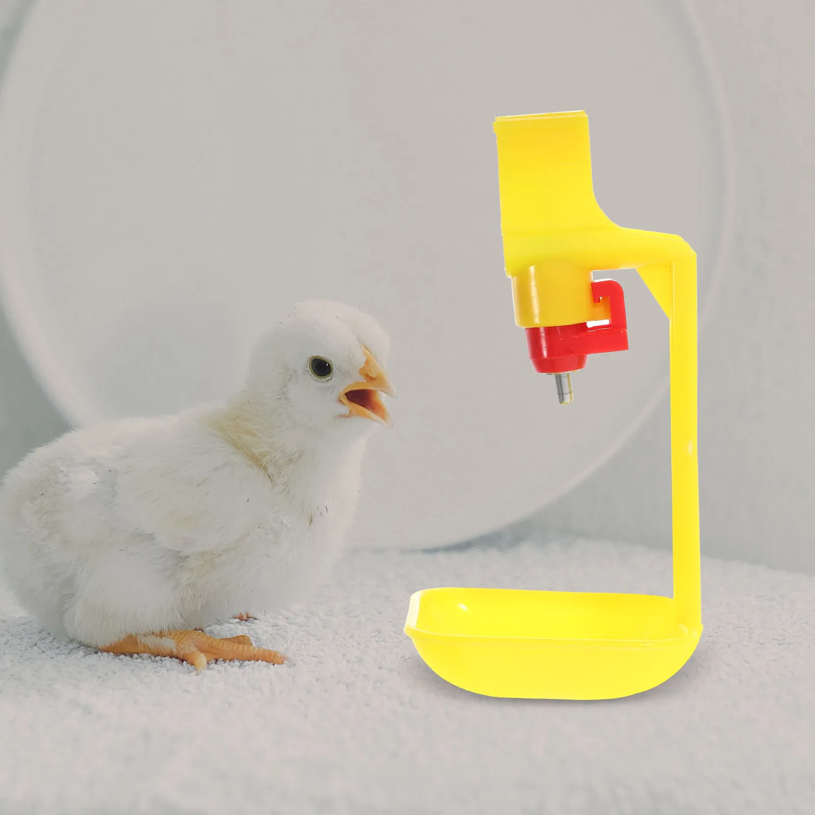 

6 Pcs Chicken Waterer Coop Waterers Household Feeders Poultry Drinking Cup One Body Cups Automatic Pigeon Bird Quail Water Basin