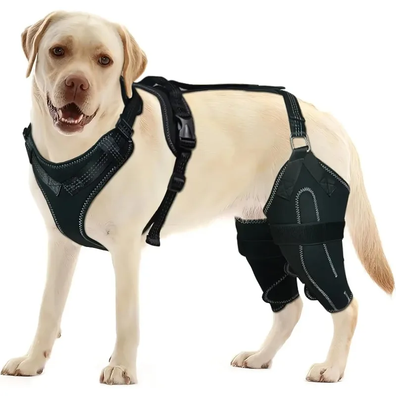 

Dog Acl Knee Brace for Torn Acl Leg,Dog Knee Braces for Back Leg Warm Joint and Relieves Joint Pain,Better Recovery For Puppy