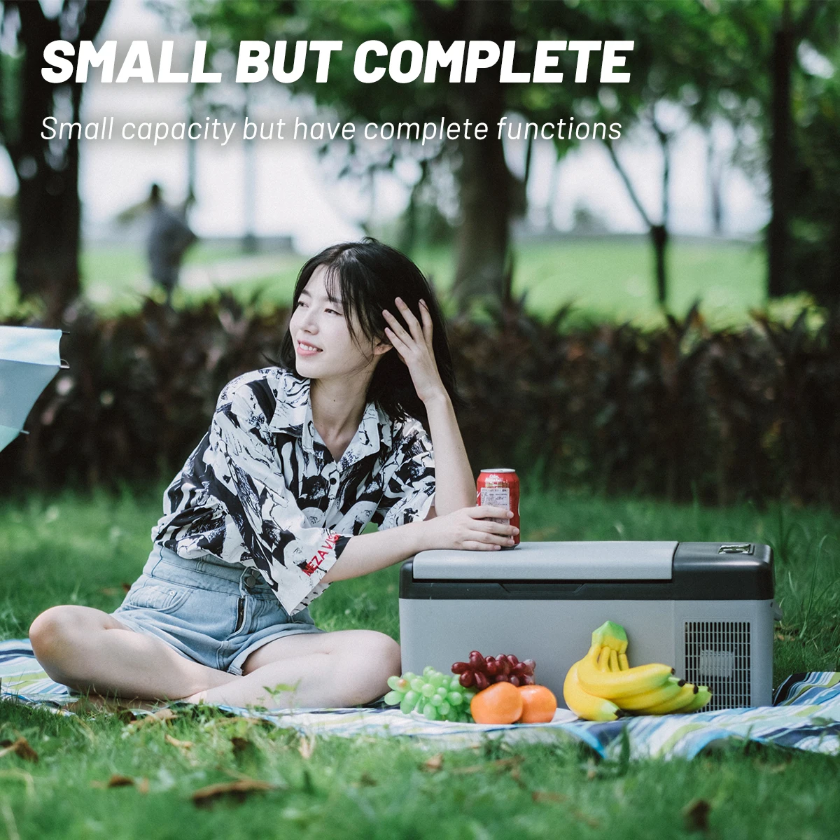 DC12V/24V AC220 Volt Frigorifero per auto Congelatore portatile Frigo per auto RV Compressore elettrico Dispositivo di raffreddamento con controllo app 15.3L/20L