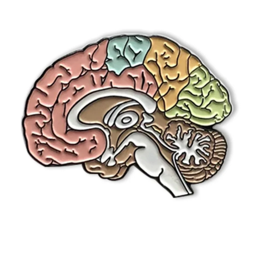 Newest Anatomy Medical Brain Brooch Delicate Colorful Enamel Lapel Badge Pins Medicine Jewelry for Doctors Nurses