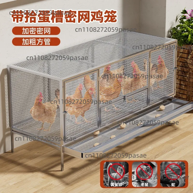 Chicken Coops for Home Use: Outdoor Chicken Coops and Indoor Balcony Coops for Intensive Farming