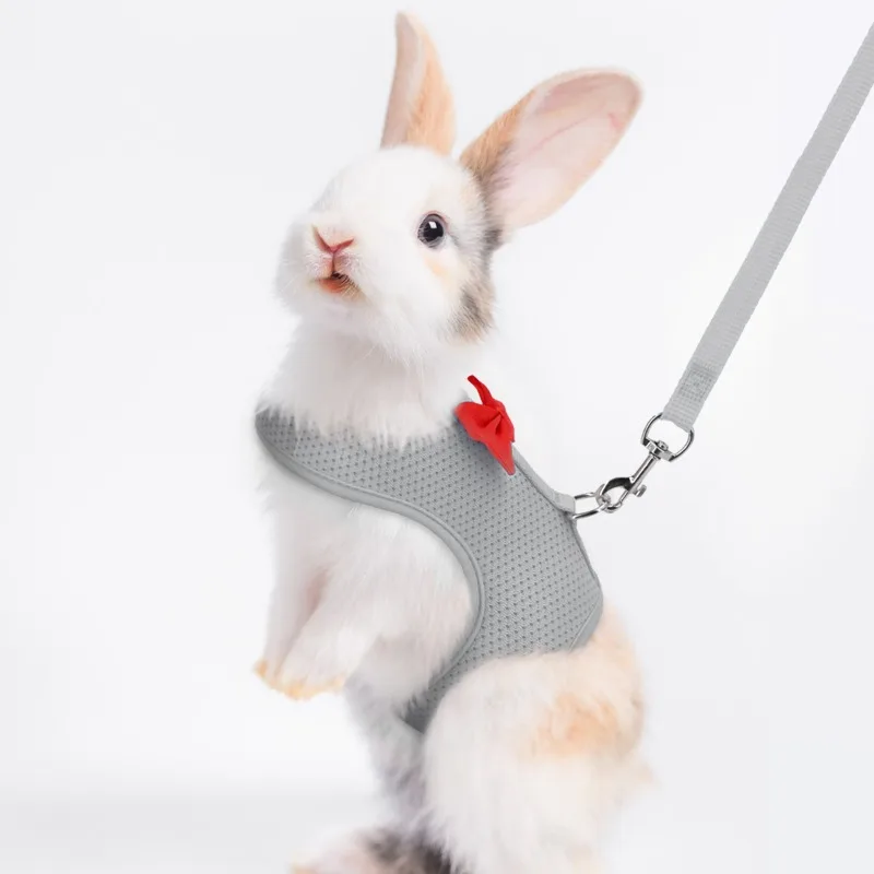 

Rabbit, Dutch Pig, Slippery Rabbit Rope, Small Pet, Traction Rope, Chest Back, Tank Top, Chest Back Cover, Dog Use