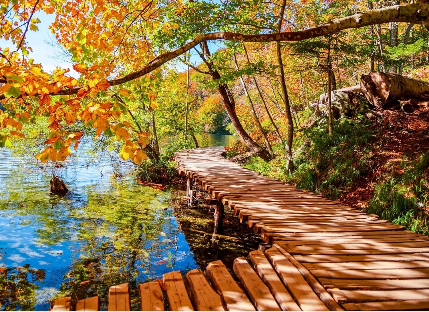 120/300/500/1000 Pieces Adult Golden Forest Trail Beside Lake Jigsaw Puzzle Stress Relief Entertainment Toy Landscape Puzzle