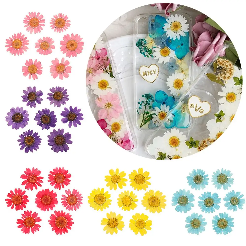 12PCS/Bag Crafts Makeup Resin Daisy Dried Flower Pressed Art Jewelry Making