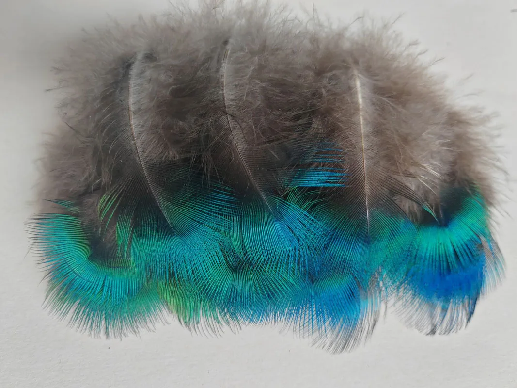 50 sztuk/partia krótkie niebieskie PEACOCK BODY PLUMAGE FEATHERS, mały paw pióropusz do rękodzieła, akcesoria do majsterkowania, błyszczący niebieski