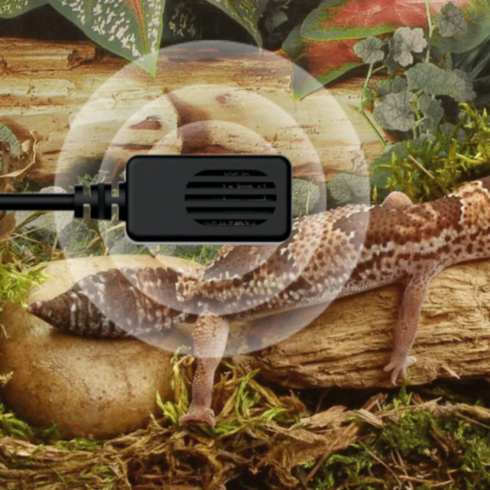 Digital Terrarium Temperature and Humidity Hygrometer Actual Time Monitoring Terrarium Humidity Meter Incubator Temperature