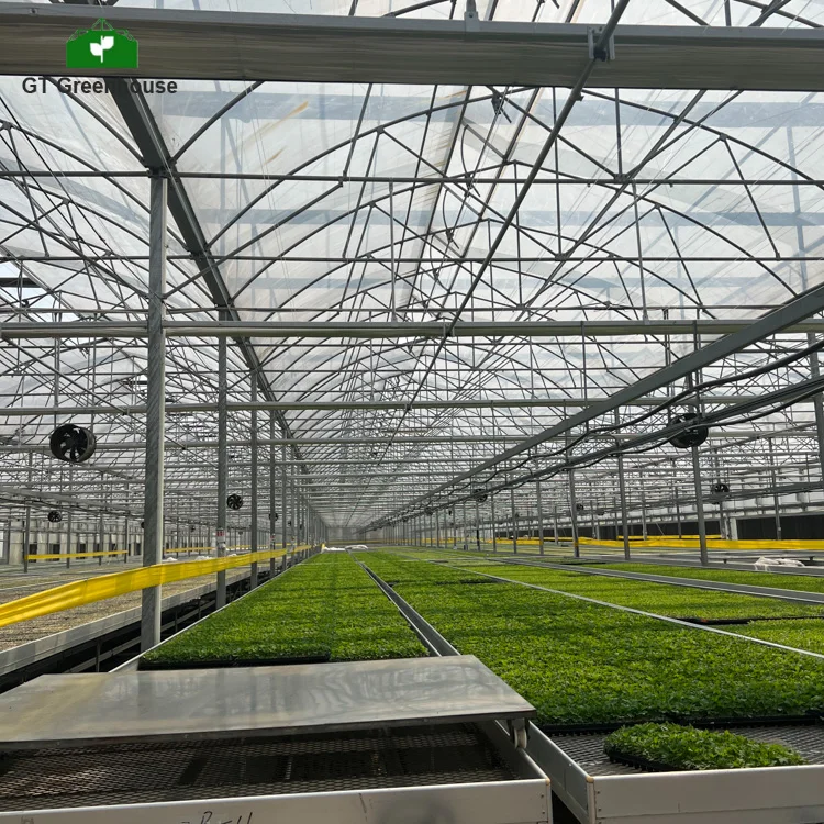 Agriculture Vegetable Greenhouse Planting Ebb&Flow Tray Seedbed 4x8 Growing Rolling Bench Table With Drain/Seeding Nursery Bed