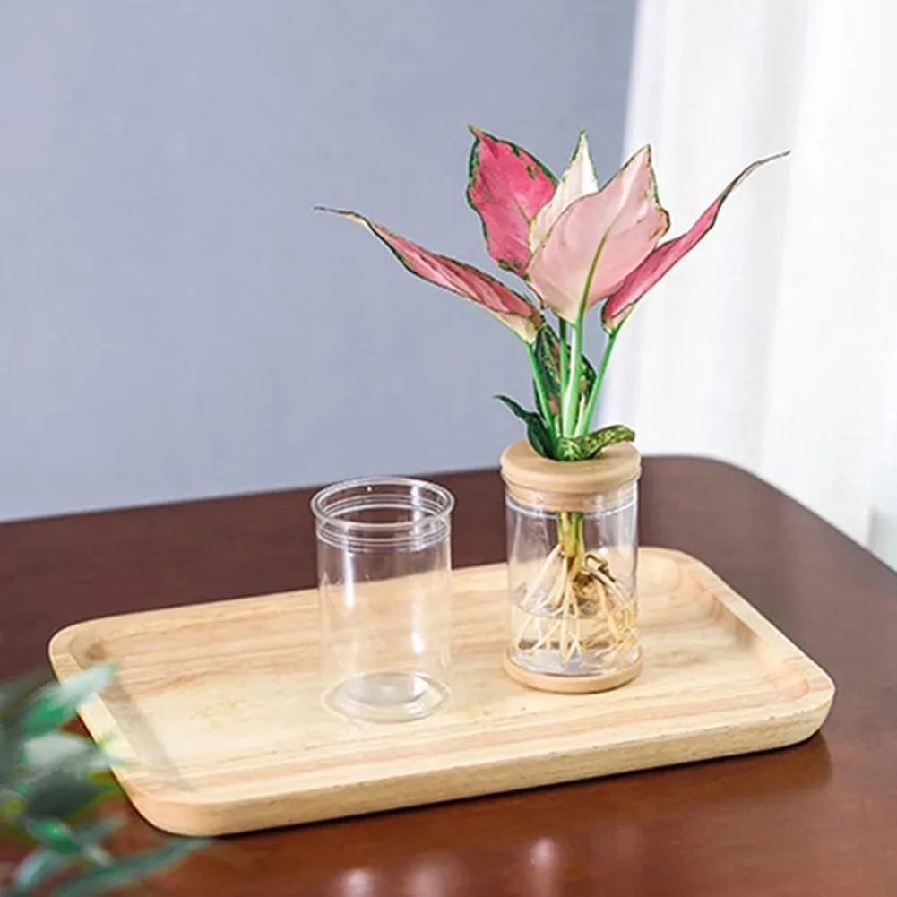 Clear For Grow Pot for Small Indoor Plants PET Material Resistant Self-Absorbing Breathable Lightweight for Home Use