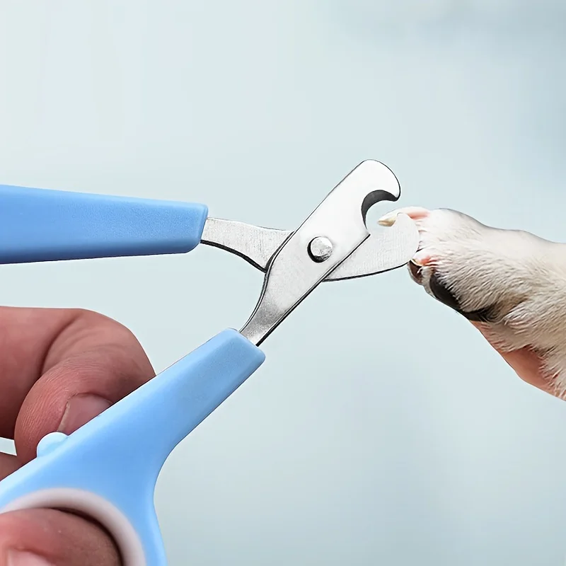 1pc Pet Nail Clippers, Mini Stainless Steel, Precision Grooming Tool for Cats and Small Dogs, Durable Nail Trimmer