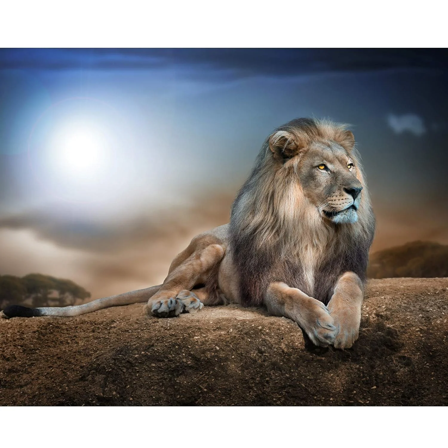Lion Canvas Prints Wall Art Animal World Series Poster Modern Art Painting for Living Room Bedroom Home Decorations Unframed