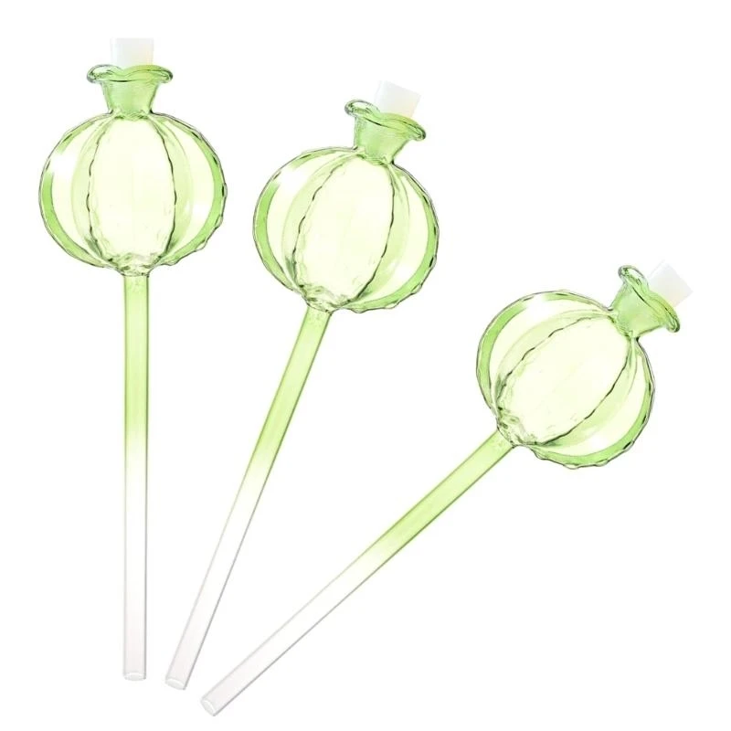 R1wa Pack 3 plantas vidrio con bulbo automático agua agua
