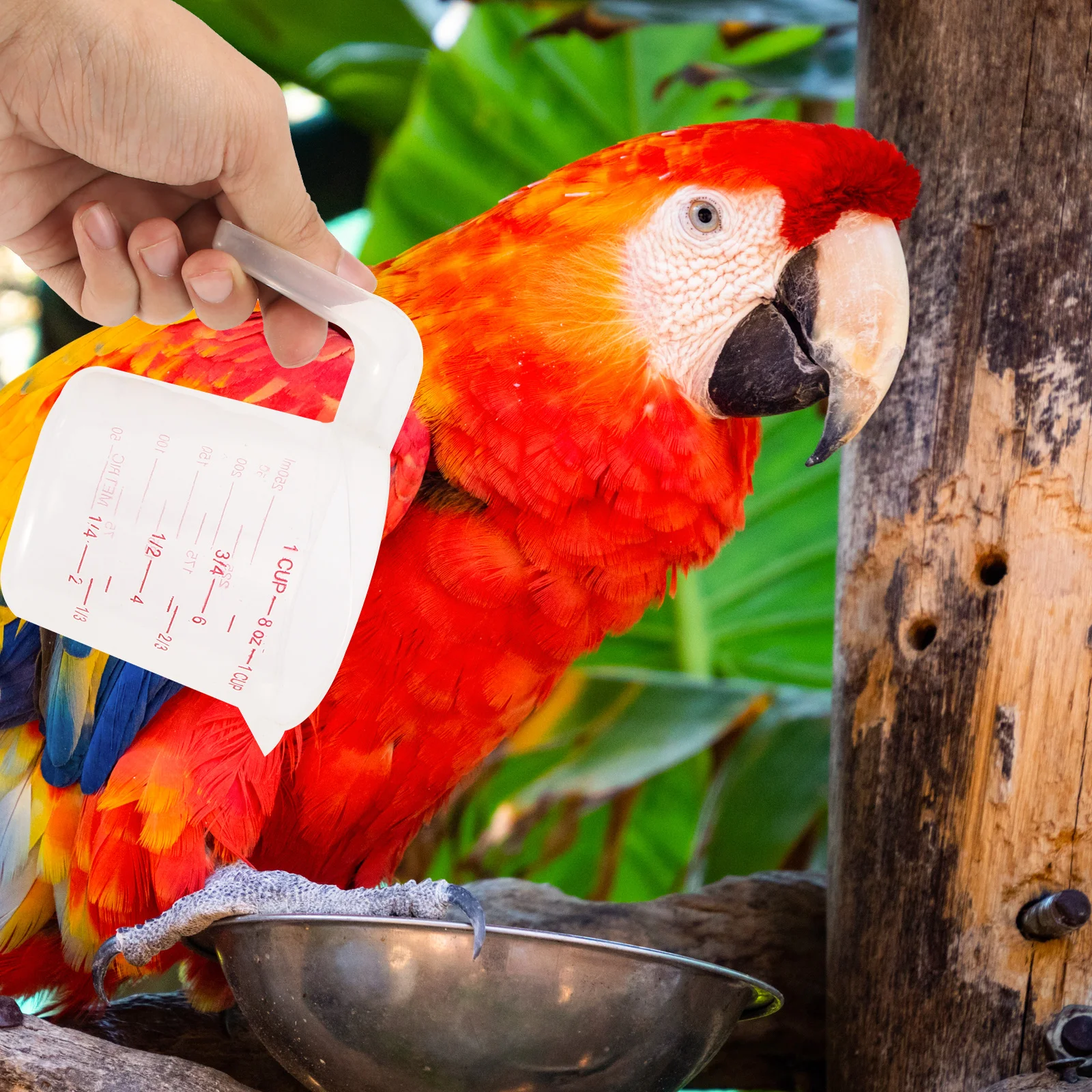 

2Pcs Bird Feeding Cups Parrot Nursery Milk Feeder Plastic Measuring Tool Liquid Food Feeder for Birds