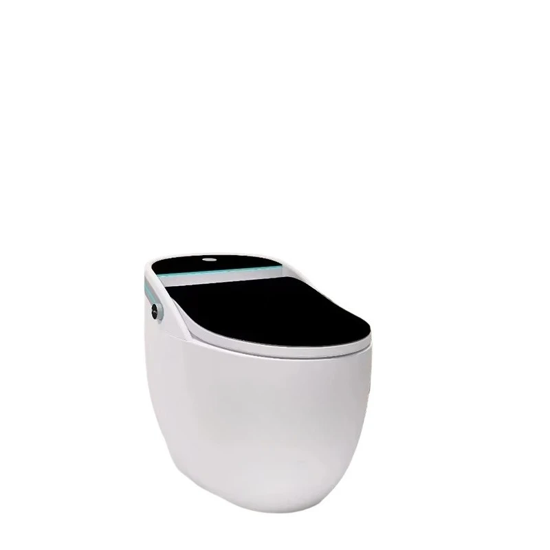 Automatic Floor Standing Egg Shape Multicolor Flush Toilet Bathroom Ceramic High-end Smart Toilet