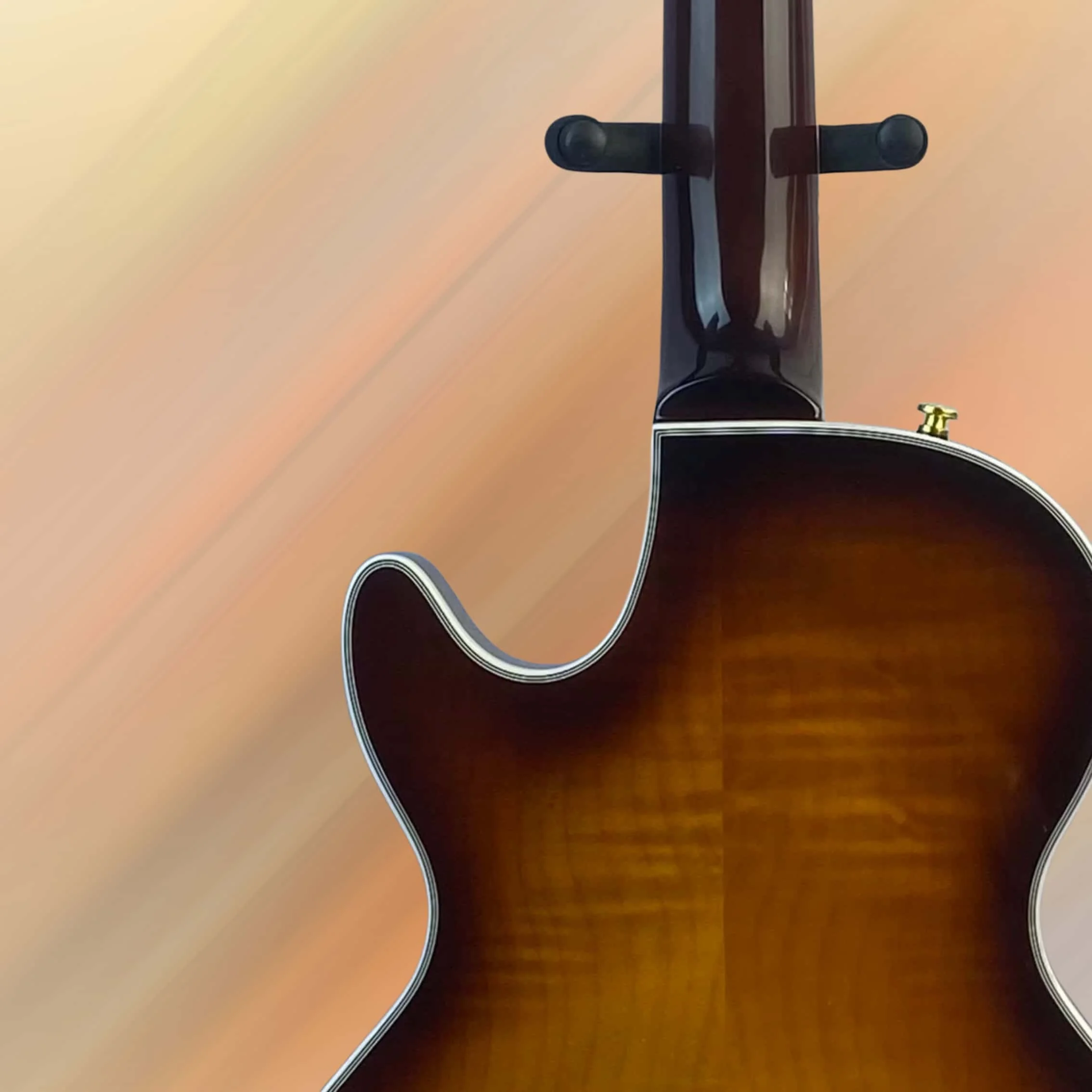 Brown F-Hole Jazz E…