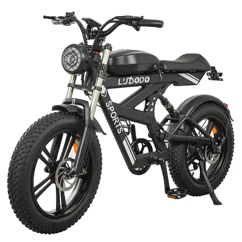 Electric Bike for Adults,1500W Peak,35MPH,48V 816Wh Battery,MAX 75Miles Electric Motorcycle,20'' Fat Tire Dirt Bike,7-Speed Bike
