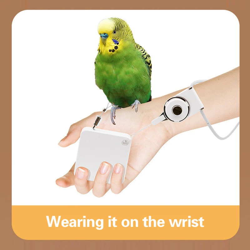 Automatic Retractable Parrot Leash With Foot Ring - Safe Flight Harness For Lovebirds, Cockatiels, And Other Small Birds