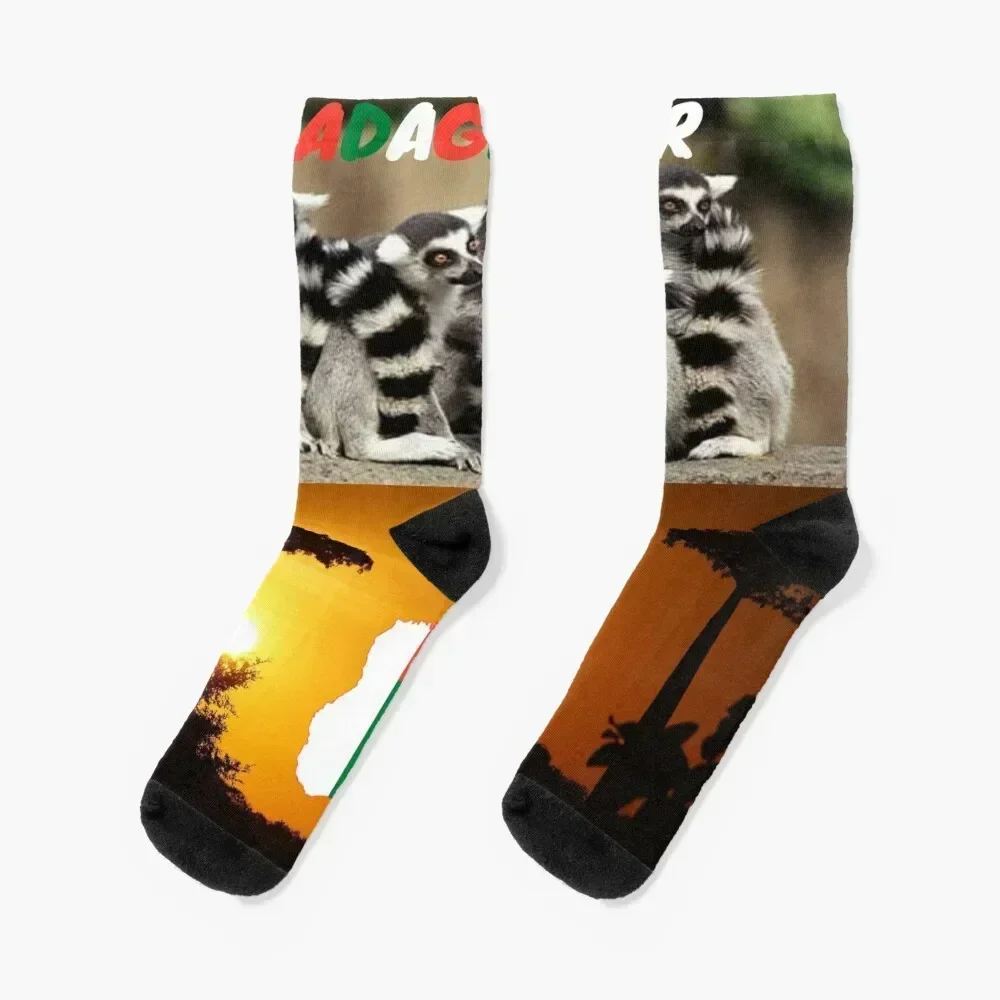 

Madagascar,Lemur catta,Baobab Socks cotton heated Toe sports Thermal man winter Men Socks Luxury Brand Women's