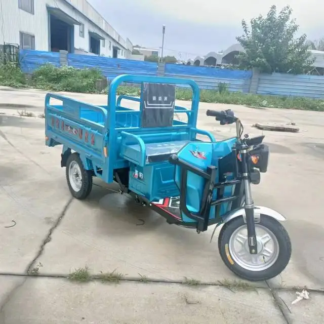 2024 Best Safety and Popular 60V 1200W Electric Tricycle for Cargo Family Tricycle