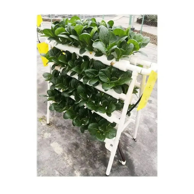 Indoor Hydroponic NFT System Planting Vegetables Double Sides