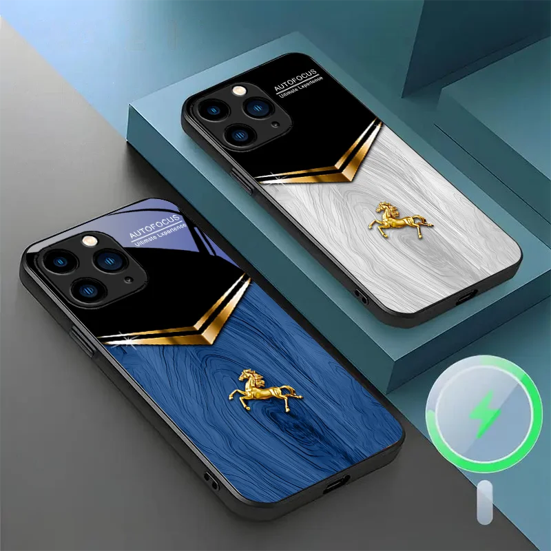 

Magnetic Glass Phone Case for iPhone 15 12 Mini Plus 16 XS 14 pro MAX 8 e 11 X XR 13 Texture Series Immediate Success Design