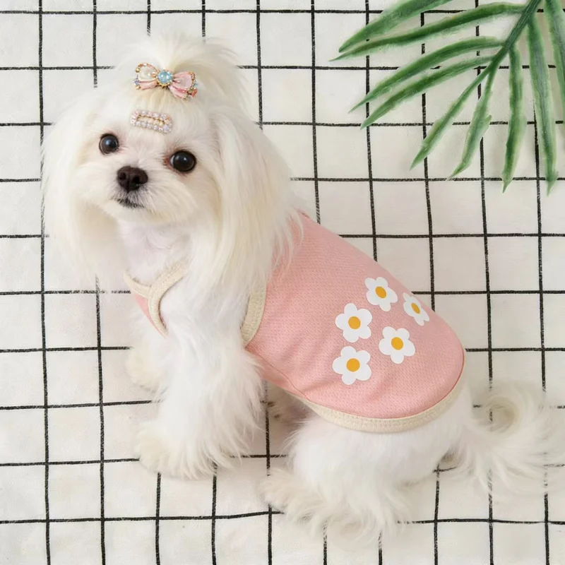 

Dogs Thin Small Fashion Fruit Vest Pet Dog Clothes Solid T-shirt Clothing Chihuahua Summer Breathable Girl Pug Pet Vest York