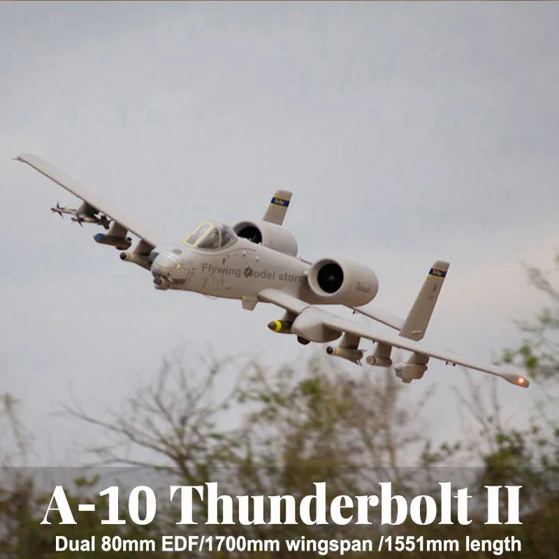 

Freewing Model A-10 "Thunderbolt II" Double 80mm Culvert Remote Control Model Aircraft RC Airplane Model EDF Jet