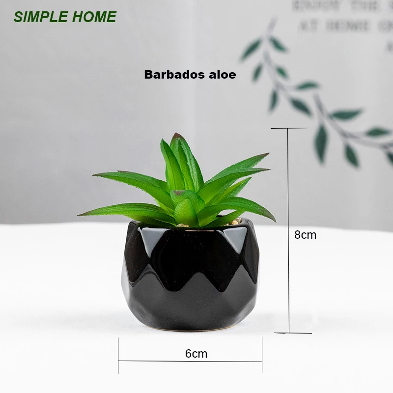Künstliche saftige Bonsai-Pflanzen mit Keramiktopf für Raumdekoration, Bürotisch, Hausgarten-Dekoration – Detail 2