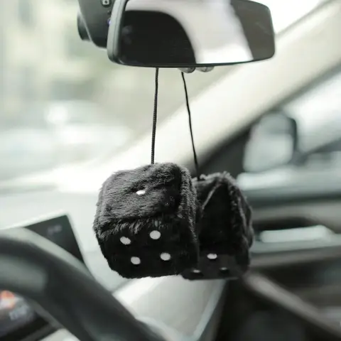12 best sales car mirror hanger - №10