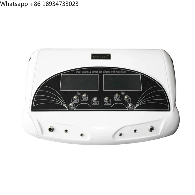 Professional Dual Model Ion Cleanse Machine Cheap Detox Foot Spa for 2 Person