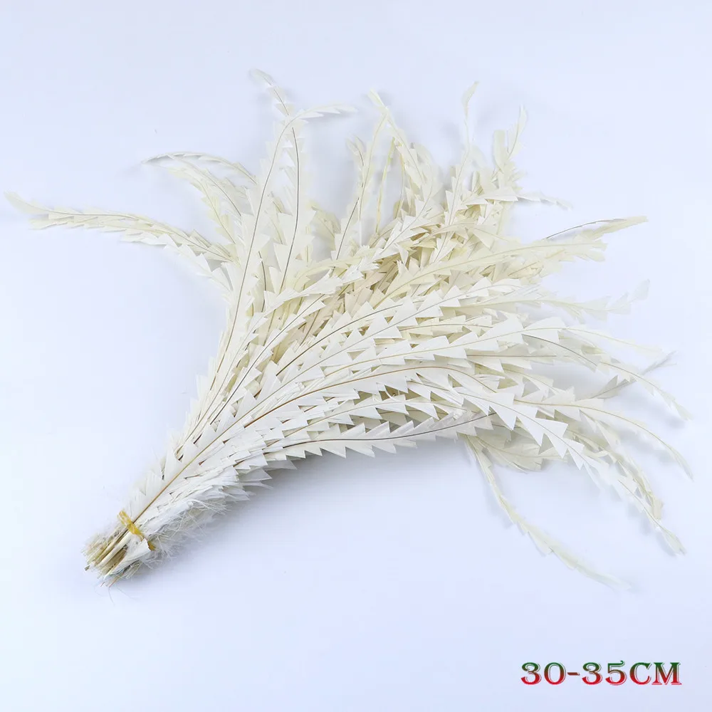 Multicolor Natural Chicken Rooster feather Party Headdress Decoration Pheasant Feathers for Crafts Jewelry Making 10 Pcs