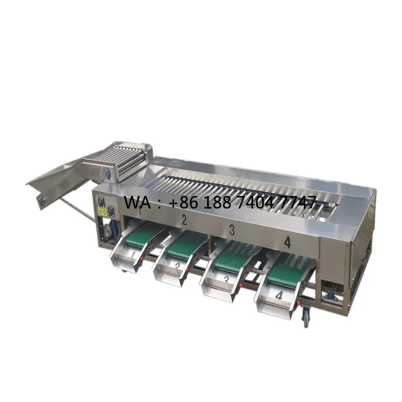 Stainless Steel Fruit and Vegetable Sorting Grading Machine for Fruit Processing Plant Eco-Friendly Used Condition