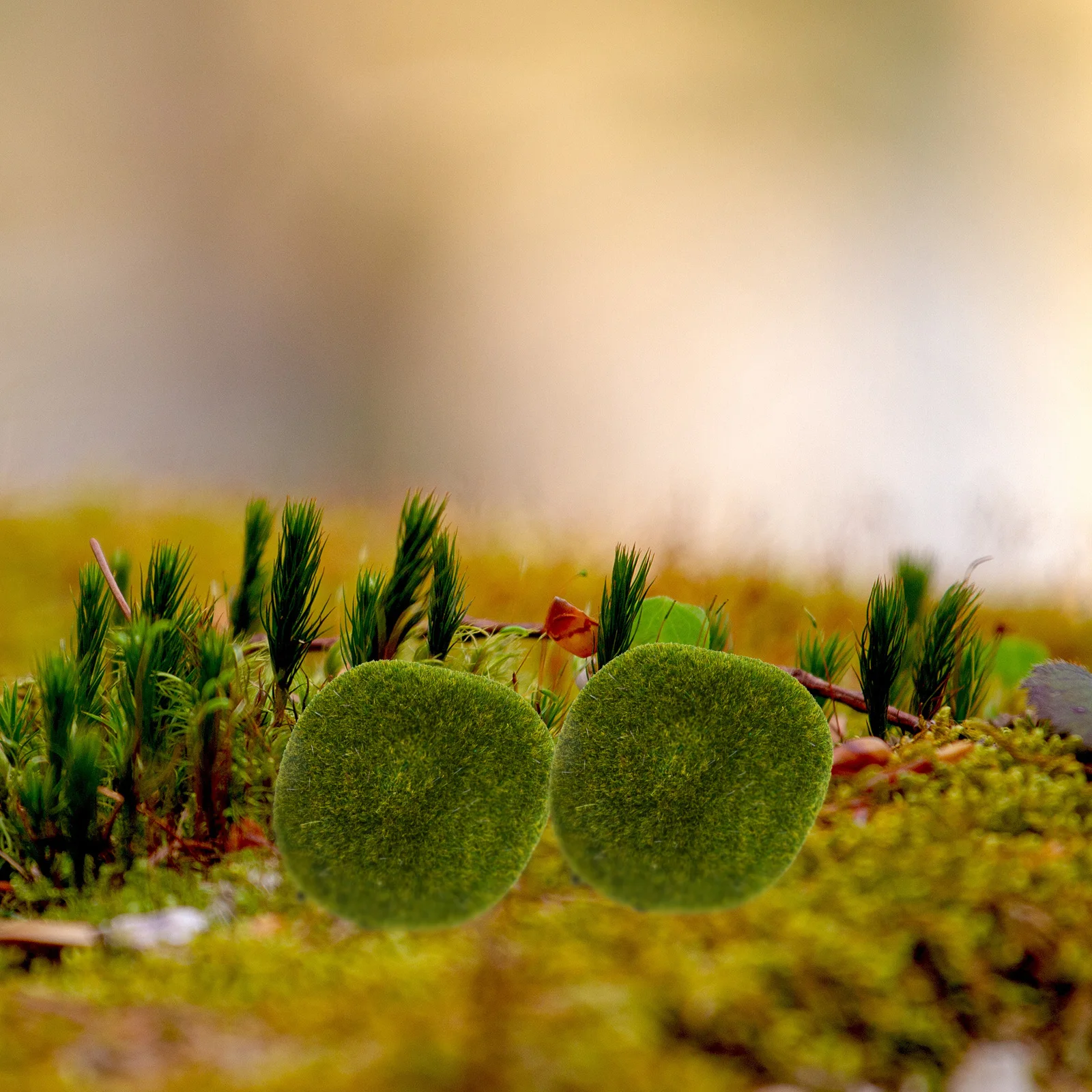 

8Pcs Moss Stone Decoration Artificial Lifelike Mossy Stones Simulated Garden Wall Ornaments Bonsai Potted Plant Decor Fake Stone