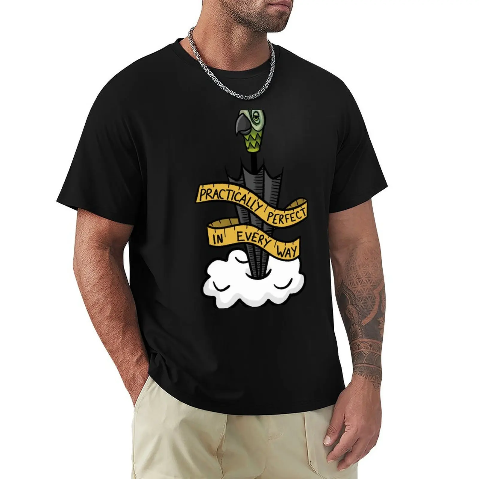 

Practically Perfect in Every Way T-Shirt quick-drying street wear tees custom t-shirts clothing for men