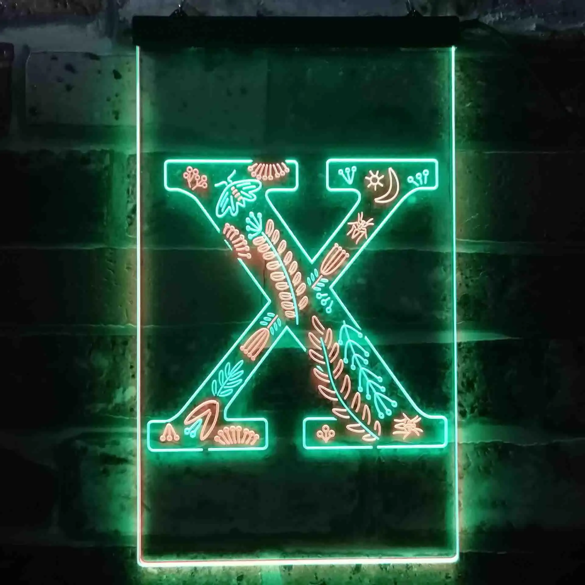 

Letter X Initial Monogram Family Name Dual Color Led Neon Sign st6-i3461