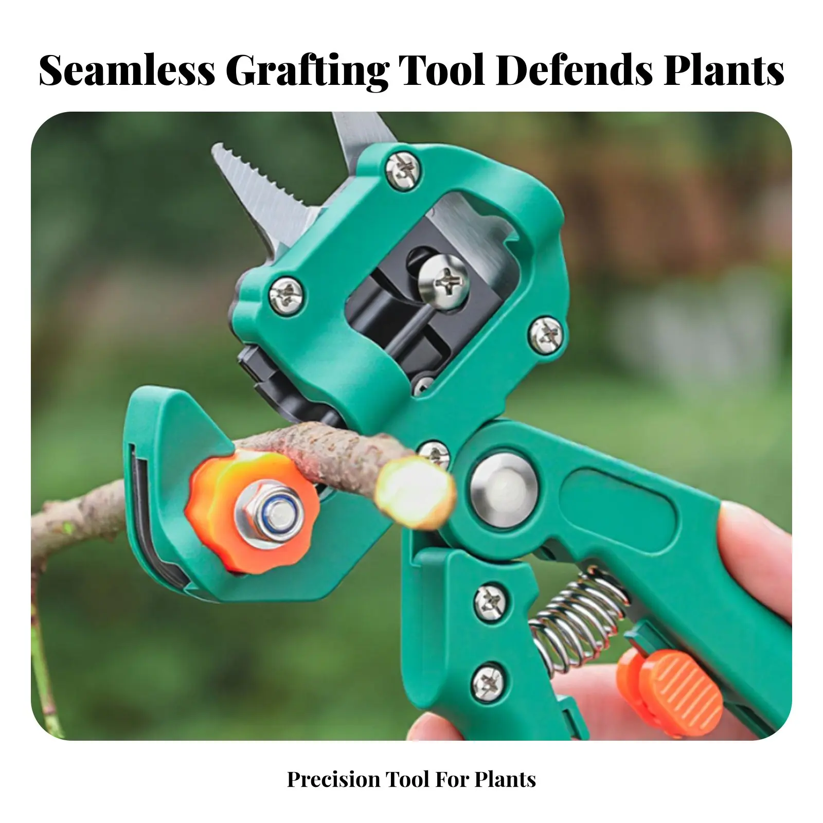 

Fruit Tree Grafting Tool High Carbon Steel Plant Grafting Shears Branch Cutting Tool Non-Slip Handle Long-Lasting for Nursery